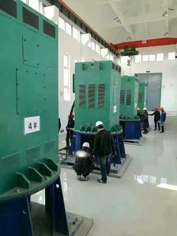 YKS4509-6/630KW某污水处理厂使用我厂的立式高压电机安装现场