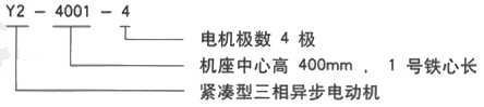 YR系列(H355-1000)高压YKS4509-6/630KW三相异步电机西安西玛电机型号说明